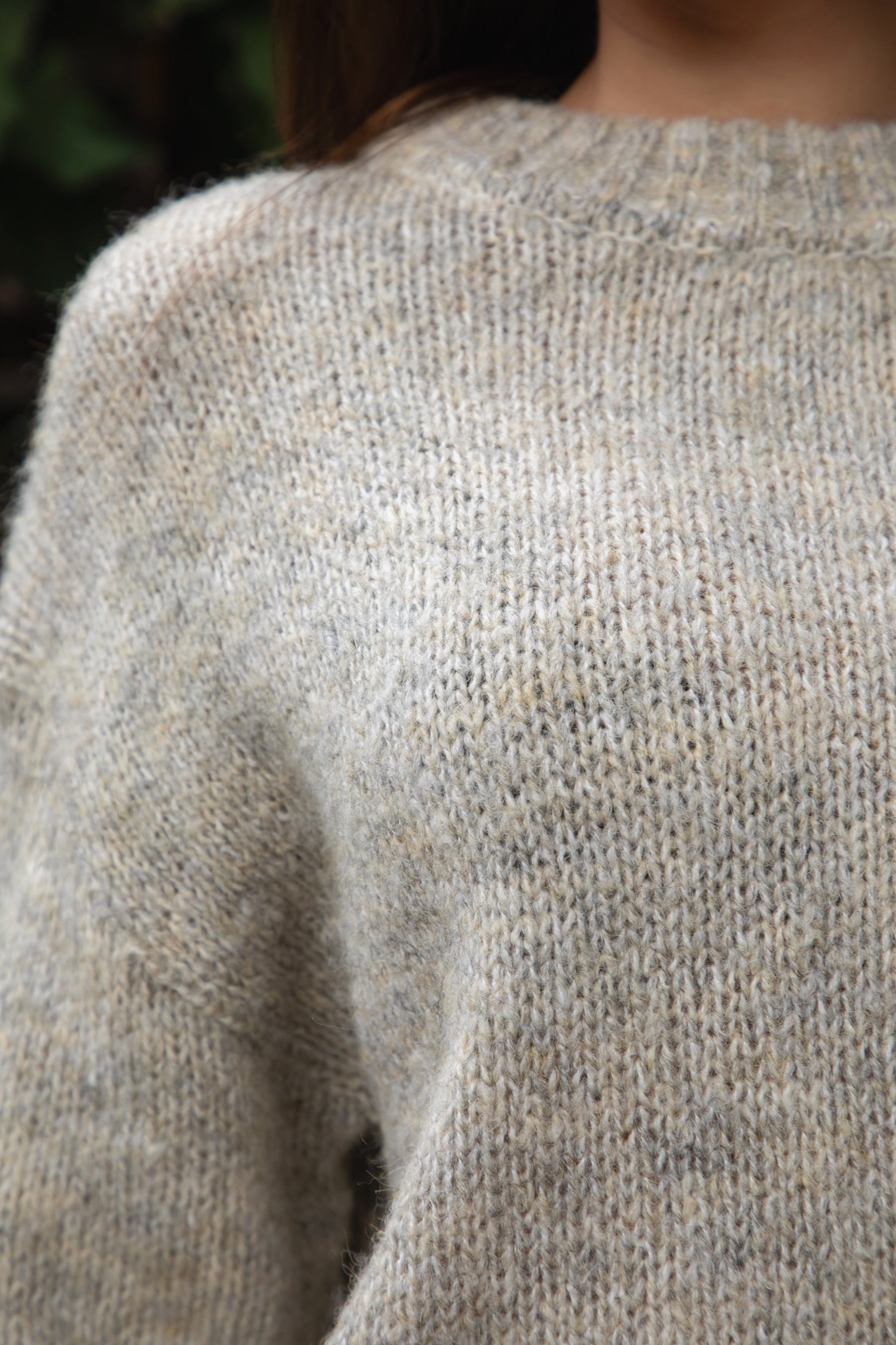 SELYNA Classic Crew Neckline Pullover Knit Sweater