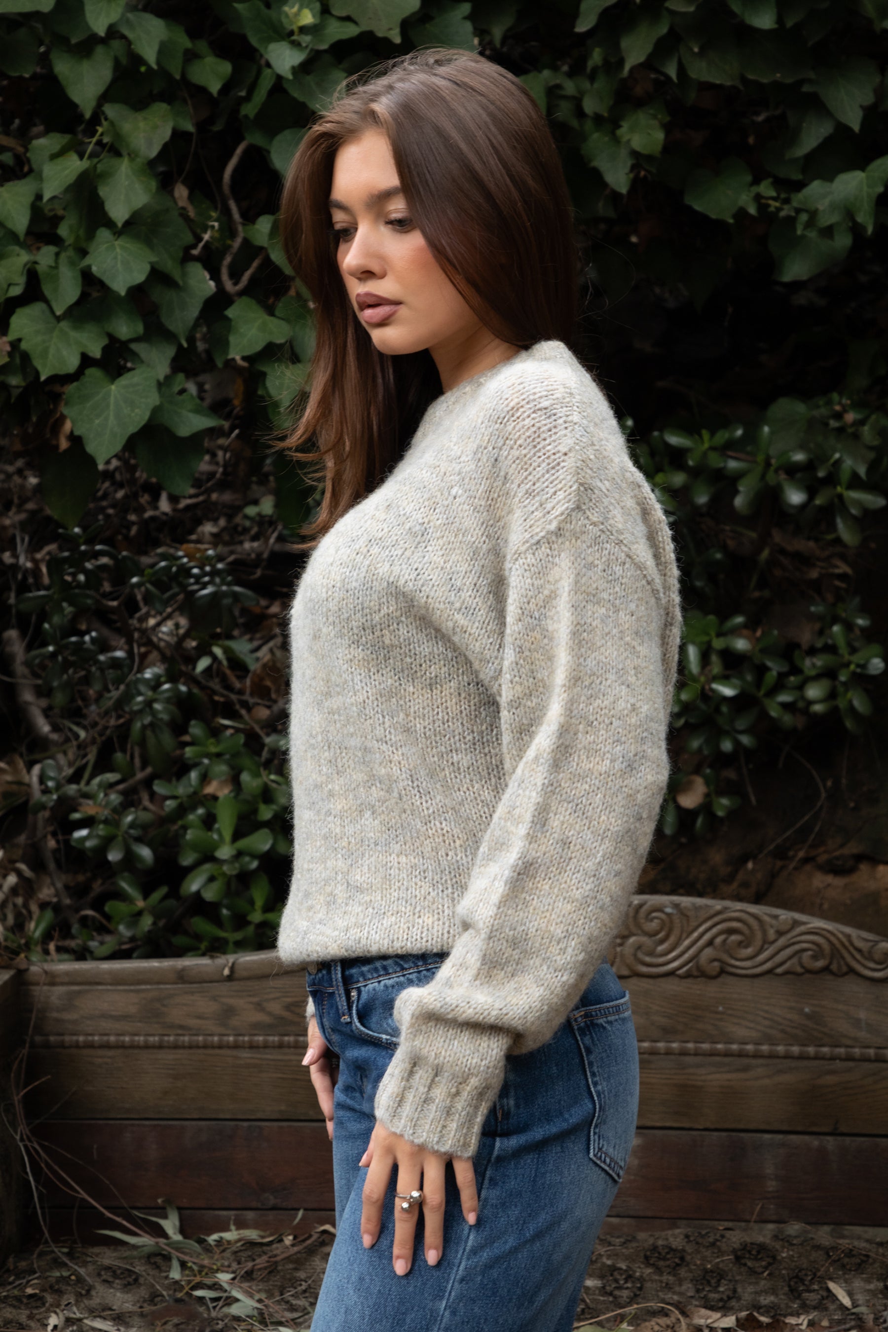 SELYNA Classic Crew Neckline Pullover Knit Sweater